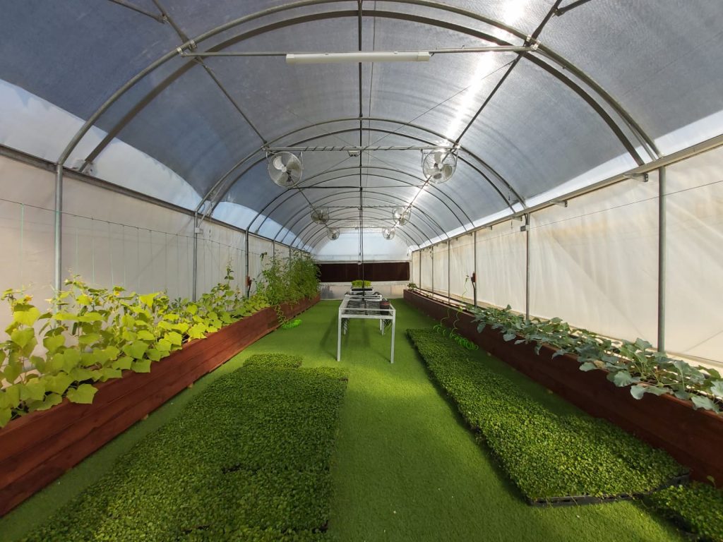 חממת שומרון - מגשימים חממות